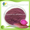 100% Potato Protein Batata Powder Excellent Red Sweet Potato Powder